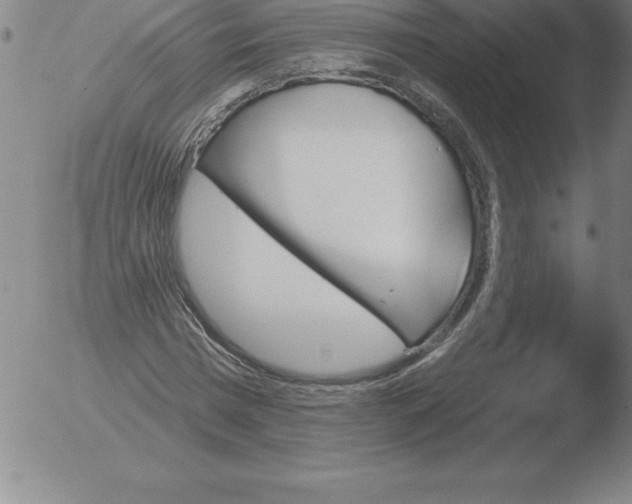 X0000051920777200507082054