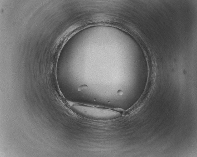 X0000051920778200507082054