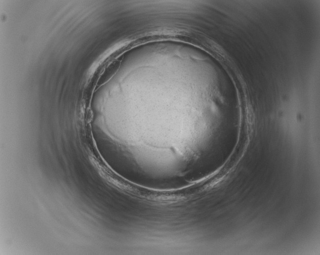 X0000051920779200507082054