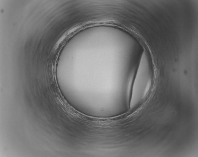 X0000051920781200507082054