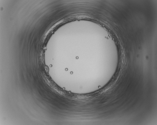 X0000051920782200507082054