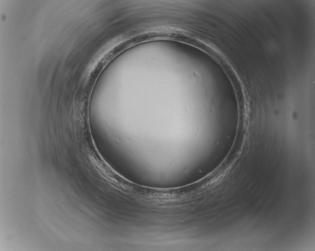 X0000051920783200507082054