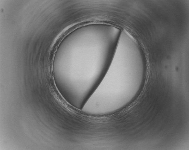 X0000051920784200507082054