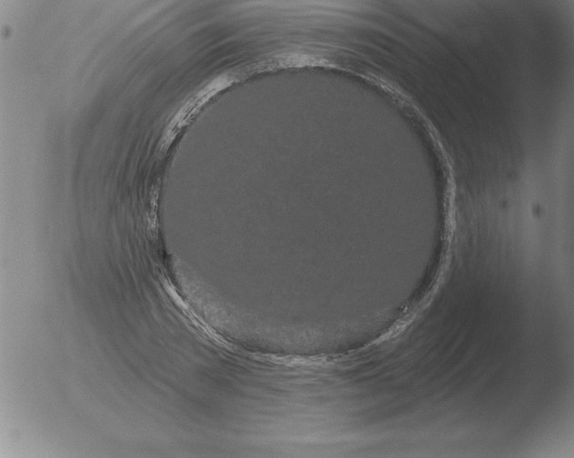 X0000051920785200507082054