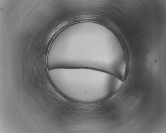 X0000051920786200507082054