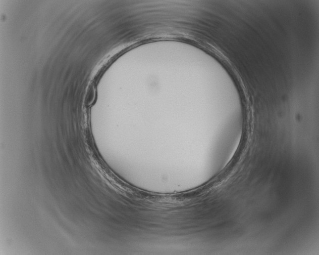 X0000051920787200507082054