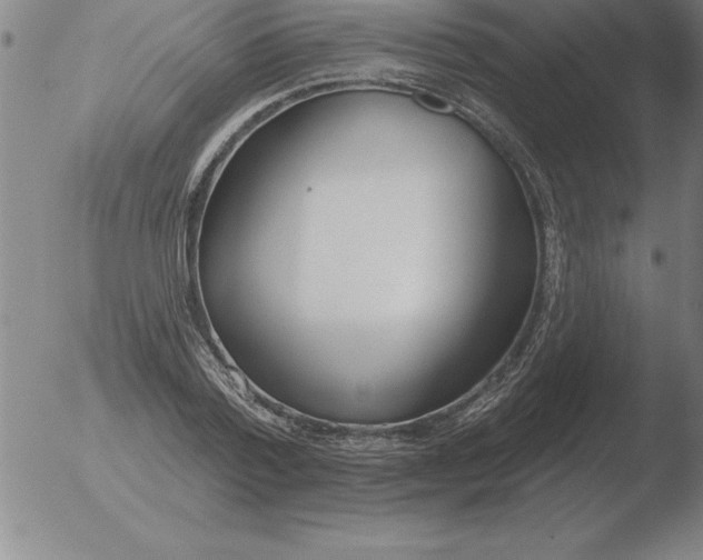 X0000051920788200507082054