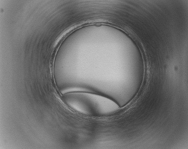 X0000051920789200507082054