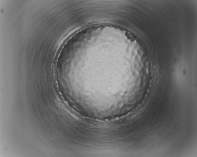 X0000051920790200507082054