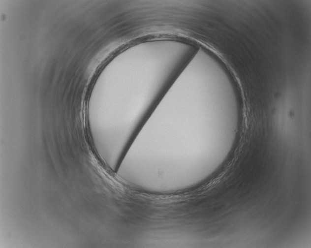 X0000051920791200507082054