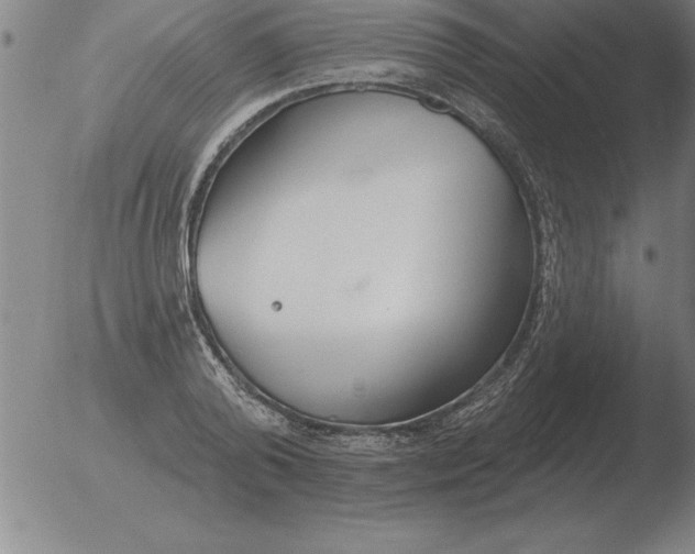 X0000051920792200507082054