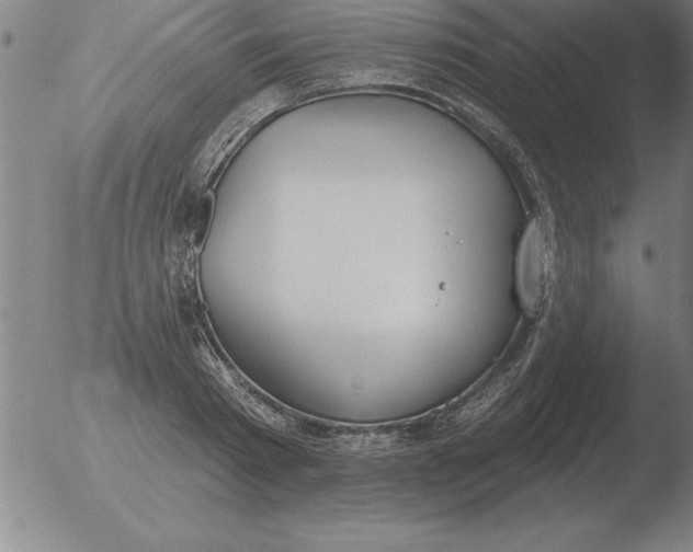 X0000051920793200507082054