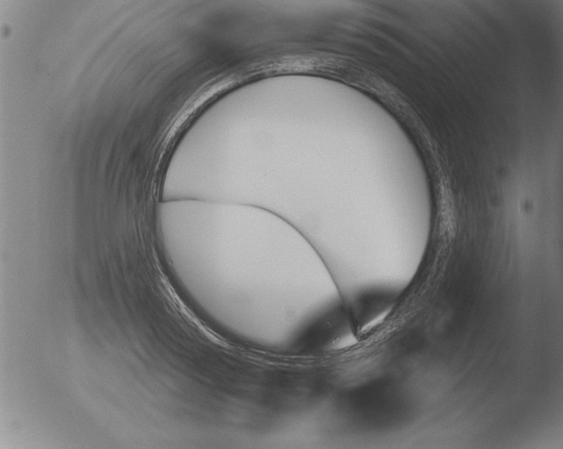 X0000051920794200507082054