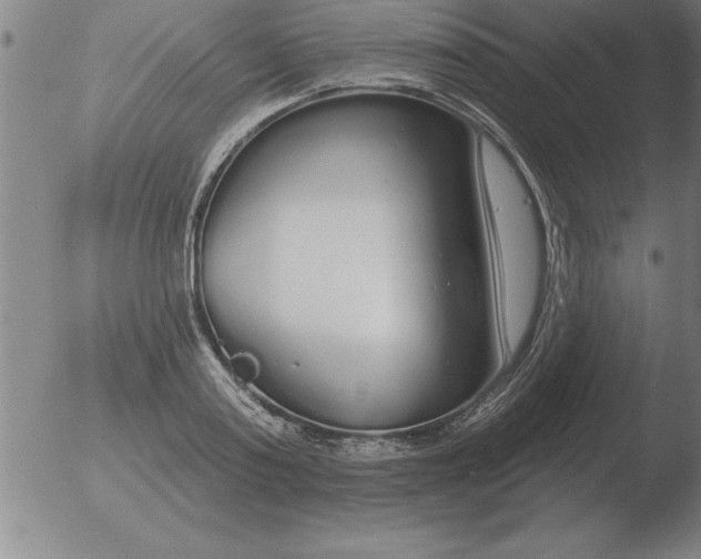 X0000051920795200507082054