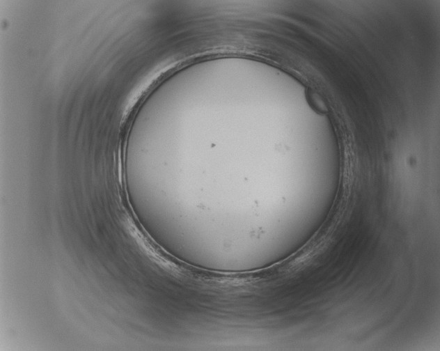 X0000051920796200507082054