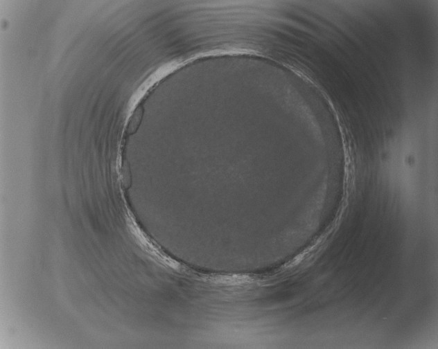 X0000051920797200507082053