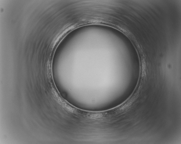 X0000051920798200507082053