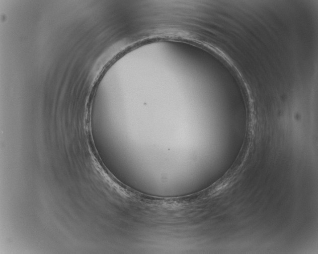 X0000051920799200507082053