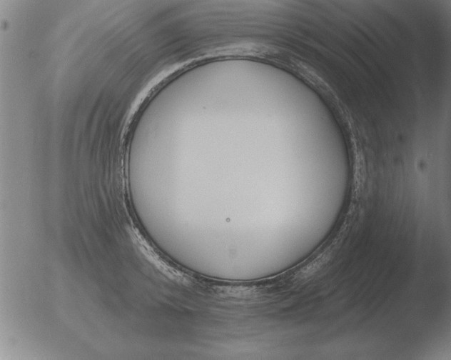 X0000051920800200507082053