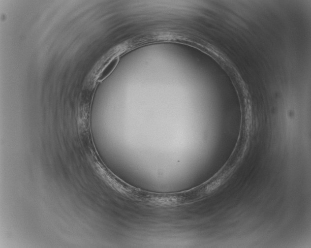 X0000051920801200507082053