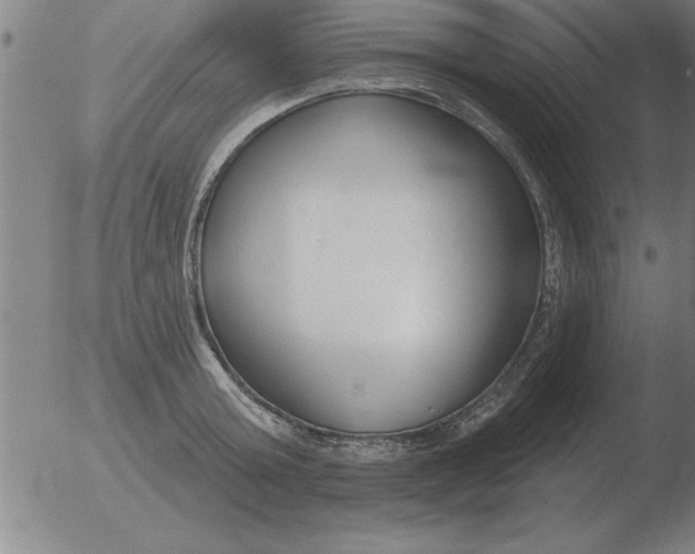 X0000051920803200507082053