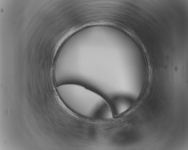 X0000051920805200507082053