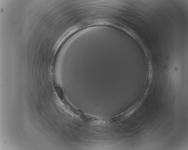 X0000051920806200507082053