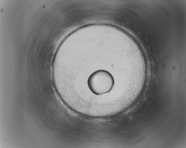 X0000051920807200507082053