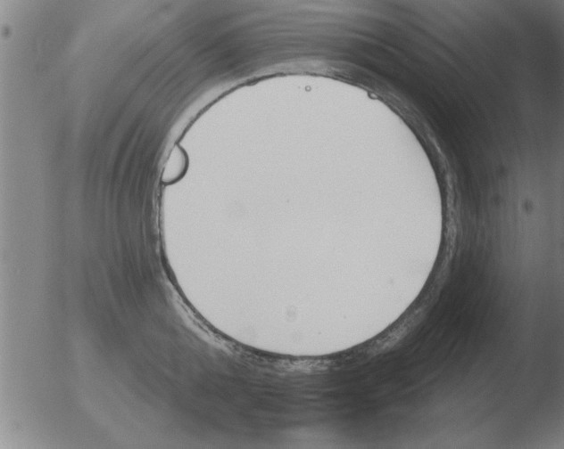 X0000051920808200507082053