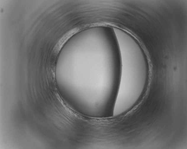 X0000051920809200507082053