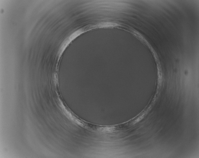 X0000051920810200507082053