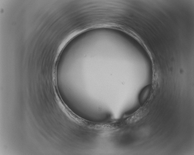 X0000051920811200507082053