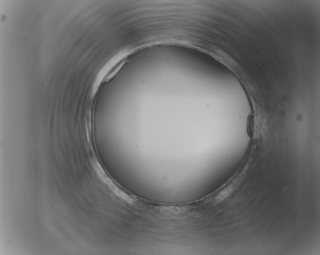 X0000051920812200507082053