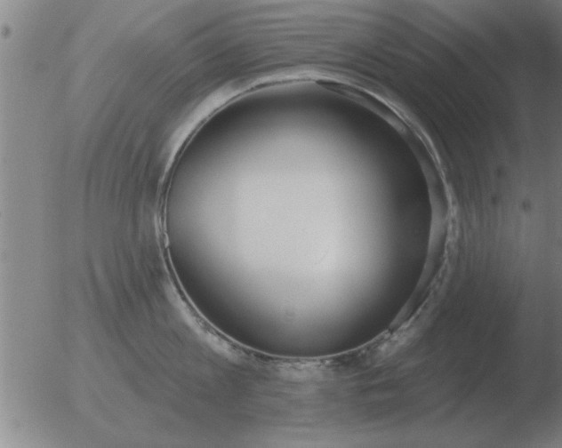 X0000051920813200507082053