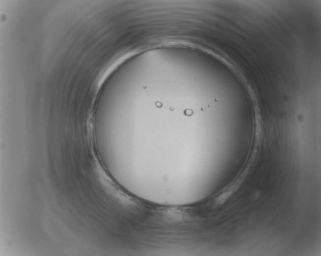 X0000051920814200507082053