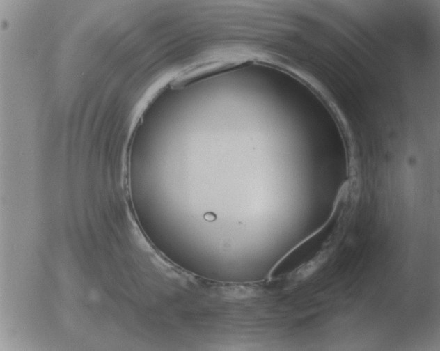 X0000051920815200507082053