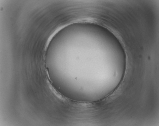 X0000051920816200507082053