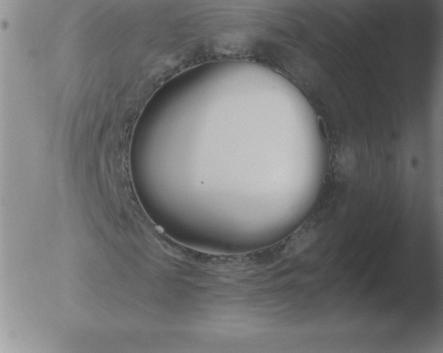 X0000051920817200507082052