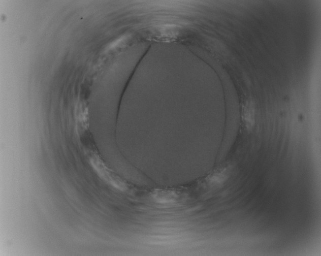 X0000051920818200507082052