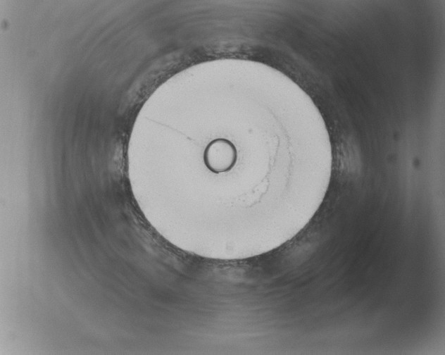 X0000051920820200507082052