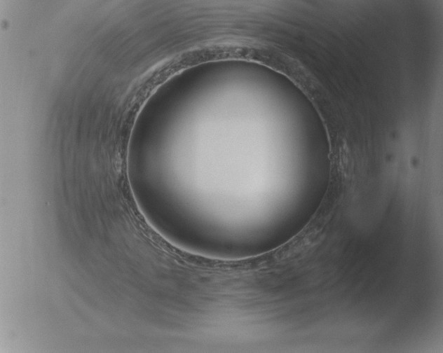 X0000051920821200507082052