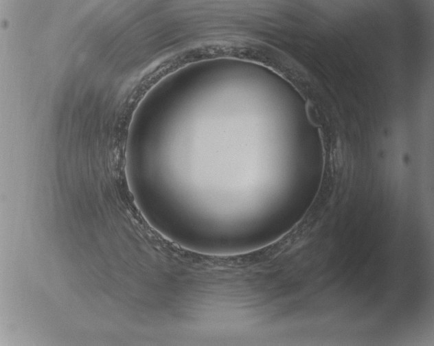 X0000051920822200507082052