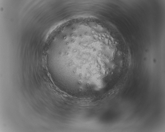 X0000051920823200507082052