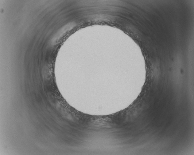 X0000051920824200507082053