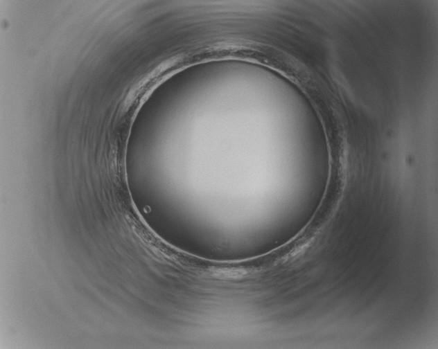 X0000051920825200507082053