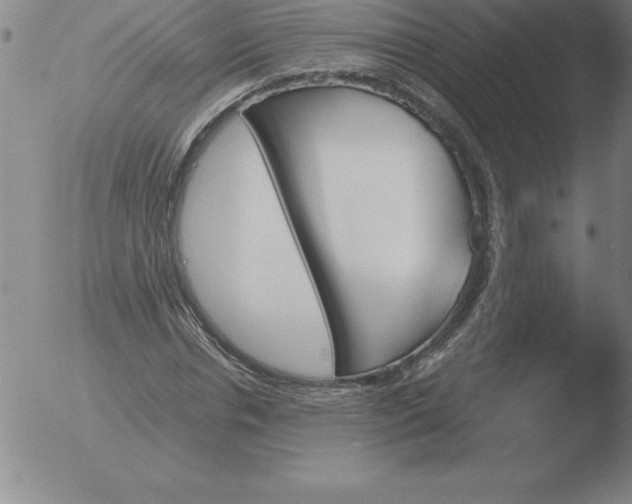 X0000051920826200507082053