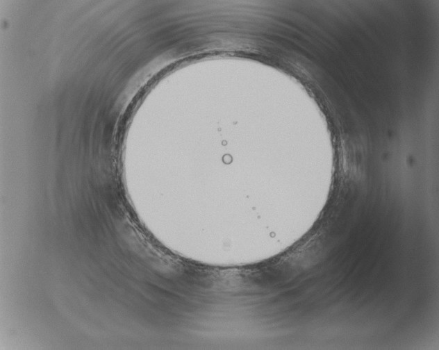 X0000051920828200507082053