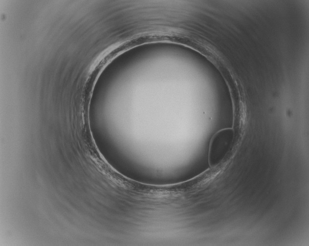 X0000051920829200507082053