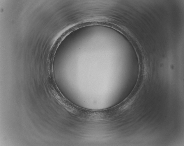 X0000051920830200507082053