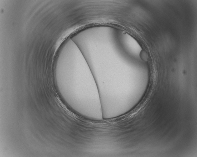 X0000051920831200507082053